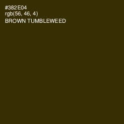 #382E04 - Brown Tumbleweed Color Image
